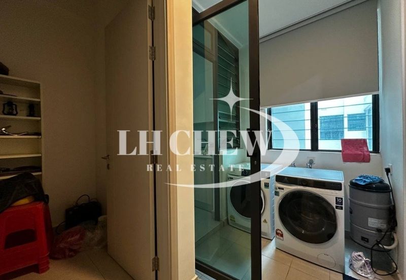 The Light Collection III