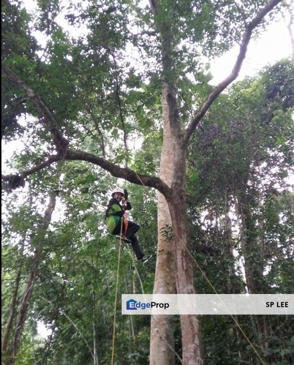 50 ACRES AGRICULTURE LAND & TRAINING CAMP FOR SALE, Selangor, Semenyih