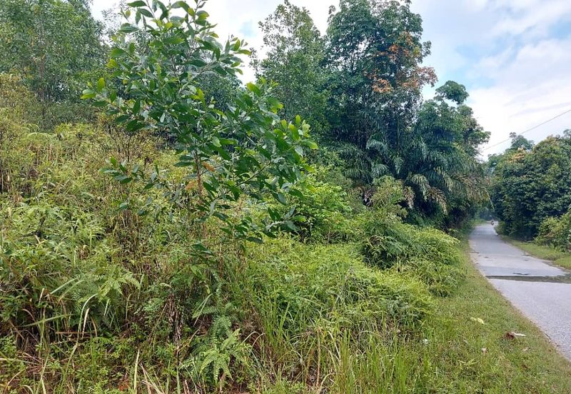 Freehold Industrial Land For Sale @ Kuang, Rawang 