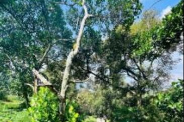 Kampung Baharu Pajam