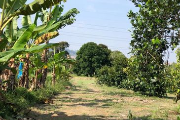 Kampung Baharu Pajam