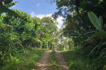 Kampung Baharu Pajam