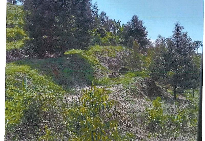 RAUB DURIAN ORCHARD @ KM8, JALAN CHEROH FOR SALE