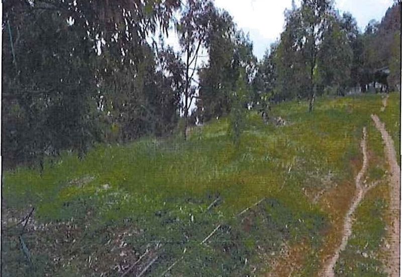 RAUB DURIAN ORCHARD @ KM8, JALAN CHEROH FOR SALE