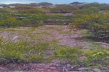 RAUB DURIAN ORCHARD @ KM8, JALAN CHEROH FOR SALE