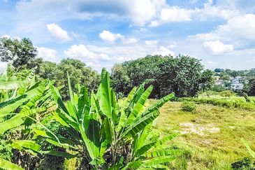 Seksyen 13, Shah Alam