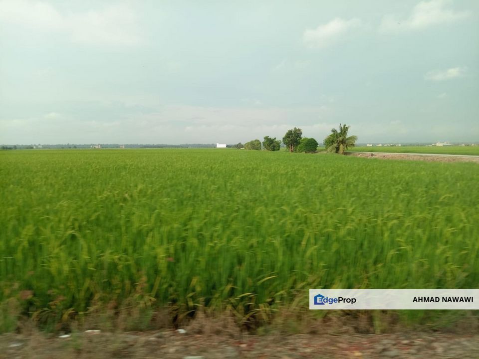 PASIR PANJANG SEKINCHAN, 2.5 Ekar Tanah Sawah For Sale, Selangor, Sekinchan
