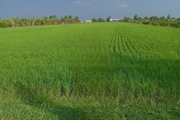 Sekinchan Business Centre