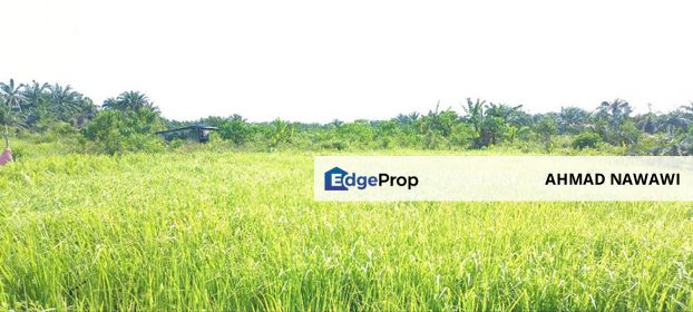 PARIT 7 SUNGAI BESAR, 2.77 Ekar Tanah For Sale, Selangor, Sabak Bernam