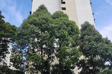 Taman Medan Jaya Apartment