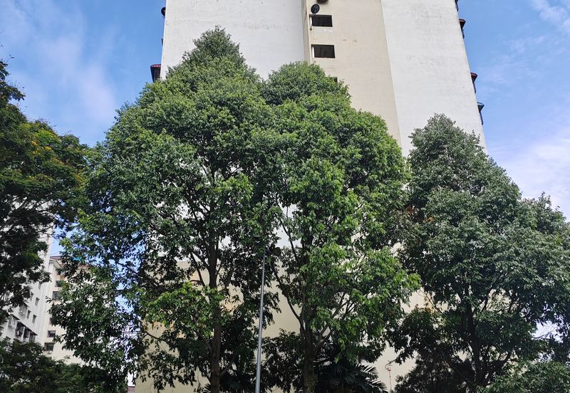 Taman Medan Jaya Apartment