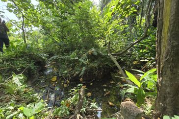 Telok Panglima Garang Industrial Zone