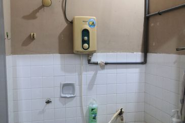 Freehold Single Storey Terrace House 