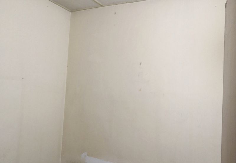 Freehold Single Storey Terrace House 