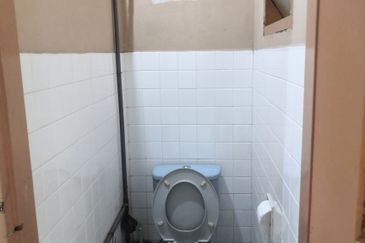 Freehold Single Storey Terrace House 