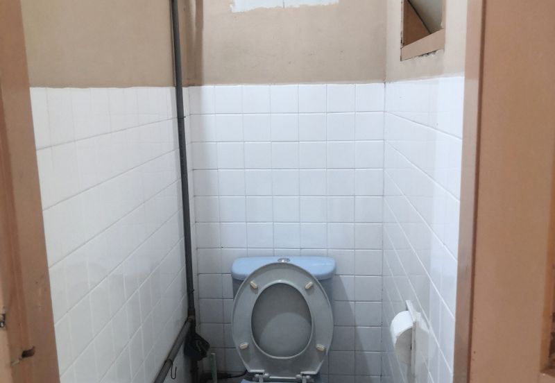 Freehold Single Storey Terrace House 