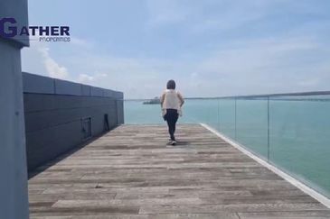 The Light Collection IV