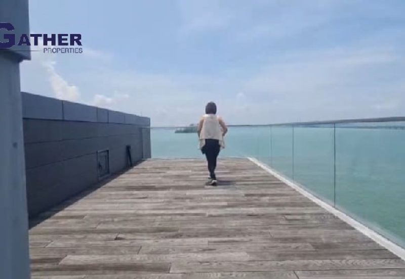 The Light Collection IV