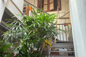 Georgetown UNESCO World Heritage Core Zone