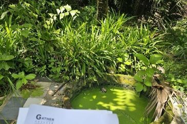 Seberang Perai Tengah freehold Industrial land For Sale