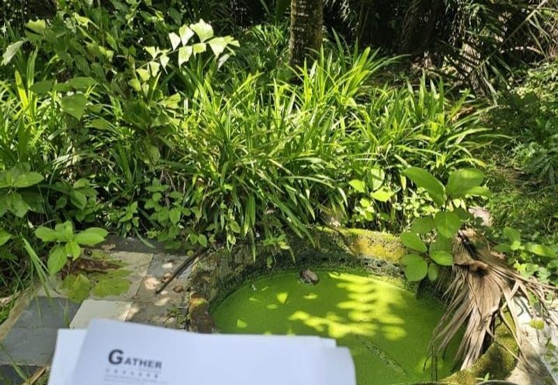 Seberang Perai Tengah freehold Industrial land For Sale