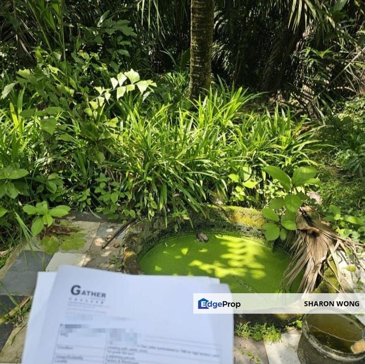 Seberang Perai Tengah freehold Industrial land For Sale, Penang, Seberang Perai