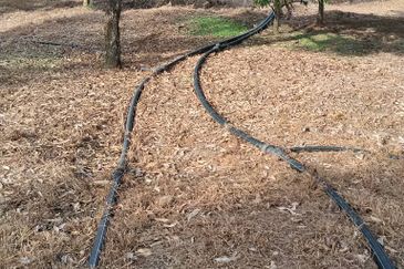 TANAH DUSUN DI LANGKAWI..HOT AREA