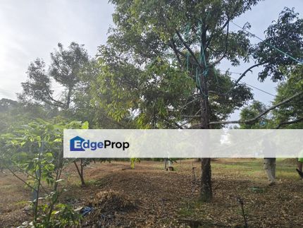 TANAH DUSUN DI LANGKAWI..HOT AREA, Kedah, Langkawi