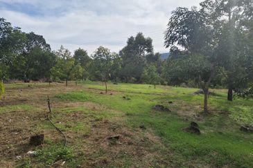 TANAH DUSUN DI LANGKAWI..HOT AREA