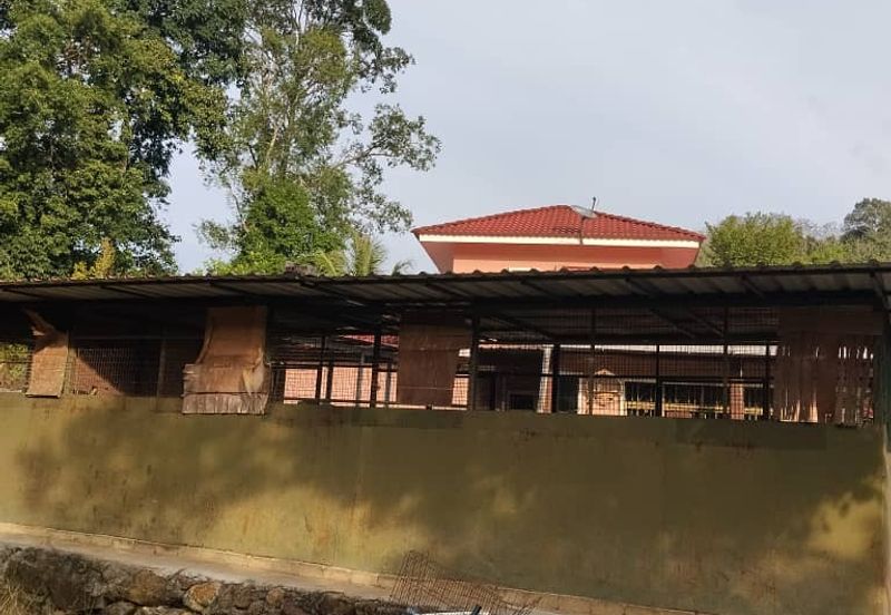 TANAH DUSUN DI LANGKAWI..HOT AREA