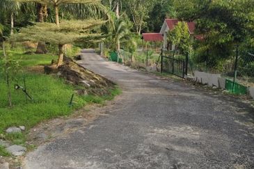 TANAH DUSUN DI LANGKAWI..HOT AREA