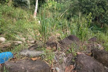 TANAH DUSUN DI LANGKAWI..HOT AREA