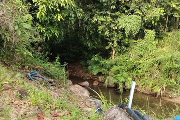 TANAH DUSUN DI LANGKAWI..HOT AREA