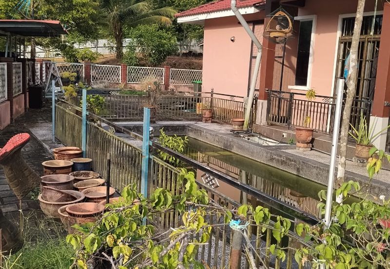 TANAH DUSUN DI LANGKAWI..HOT AREA