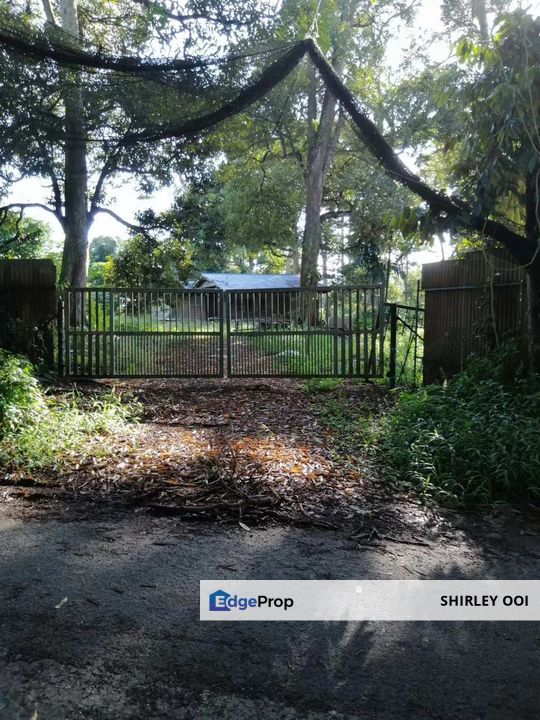 SPS agriculture land for sale, Sungai Baong, Jawi, Penang, Penang, Sungai Jawi