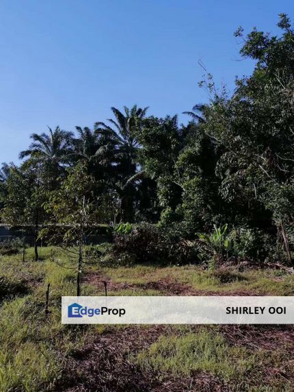 SPS agriculture land for sale, Sungai Baong, Jawi, Penang, Penang, Sungai Jawi