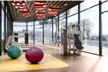 Yolo Signature Suites