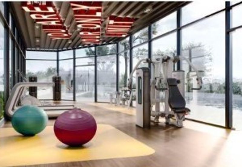 Yolo Signature Suites