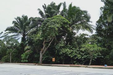 Land in industrial zone in Banting, potential for high yield