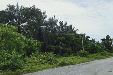 Land in Banting zoned for industrial, potential for high yield