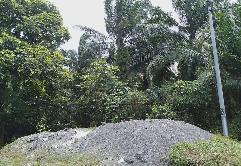 Land in Banting zoned for industrial, potential for high yield