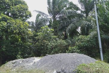 Land in Banting zoned for industrial, potential for high yield