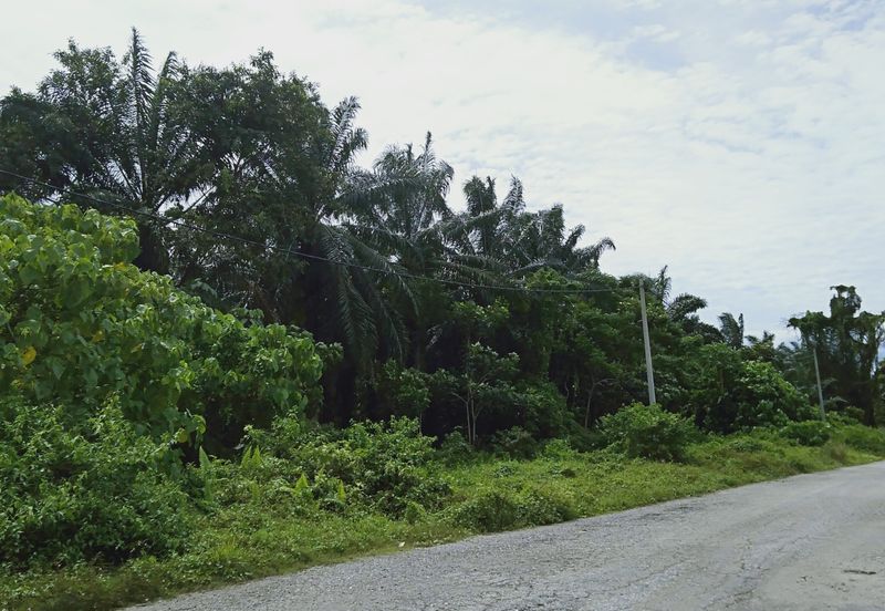 Agricultural land in industrial zoning plan in Banting