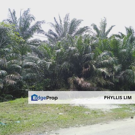 Agricultural land in industrial zoning plan in Banting, Selangor, Banting