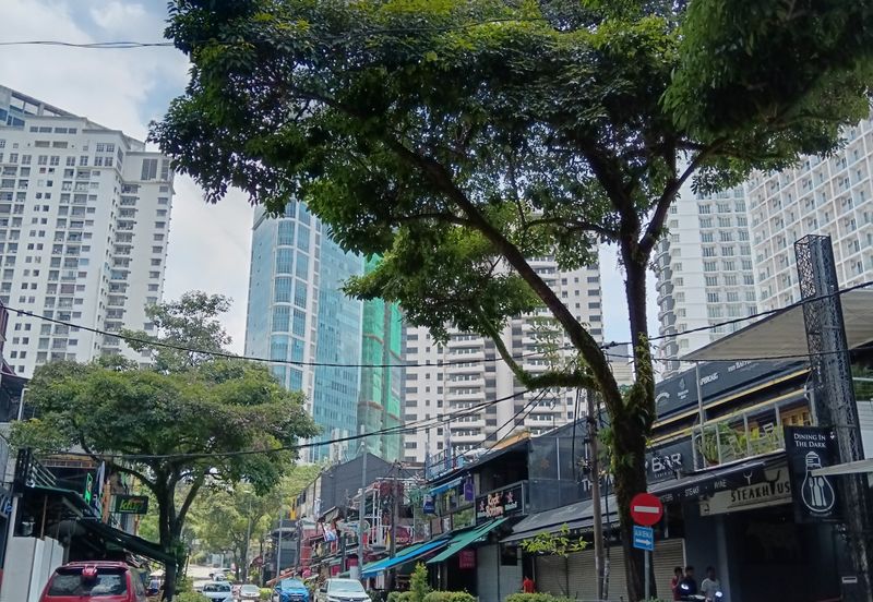 Freehold title shophouse next to tourist hotspot and malls