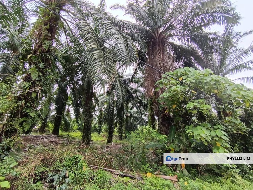 Industrial Land To Let In Kuang, Selangor, Rawang