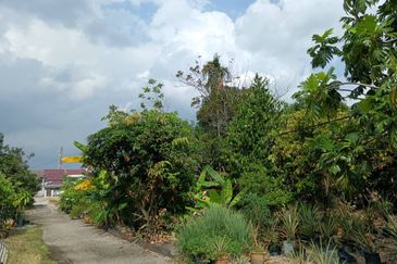 Agricultural land zoned for residential development on arterial road in Klang