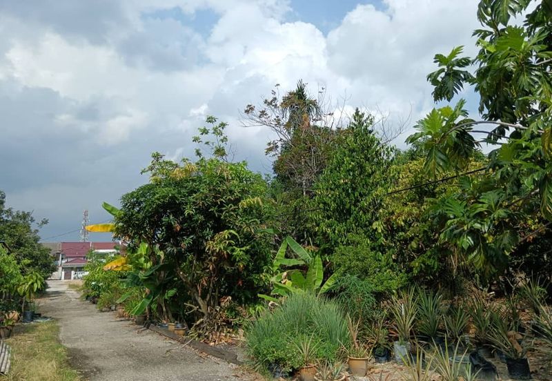 Agricultural land zoned for residential development on arterial road in Klang