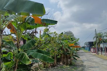 Agricultural land zoned for residential development on arterial road in Klang
