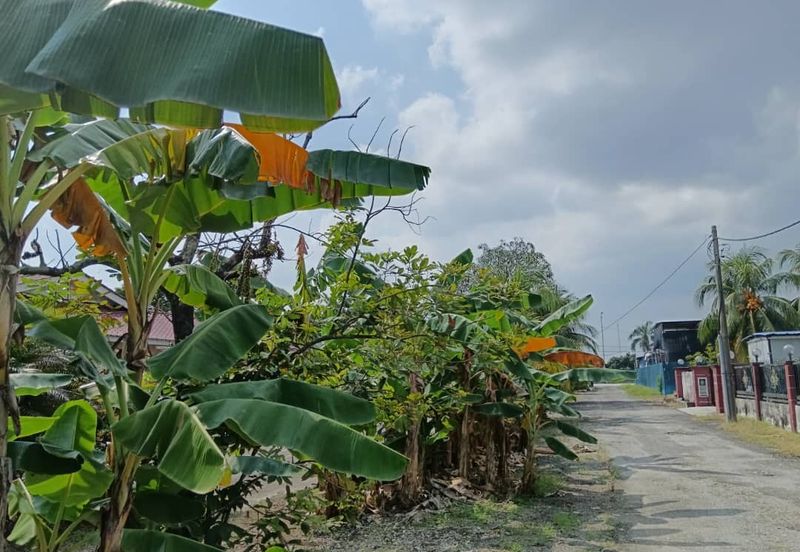 Agricultural land zoned for residential development on arterial road in Klang